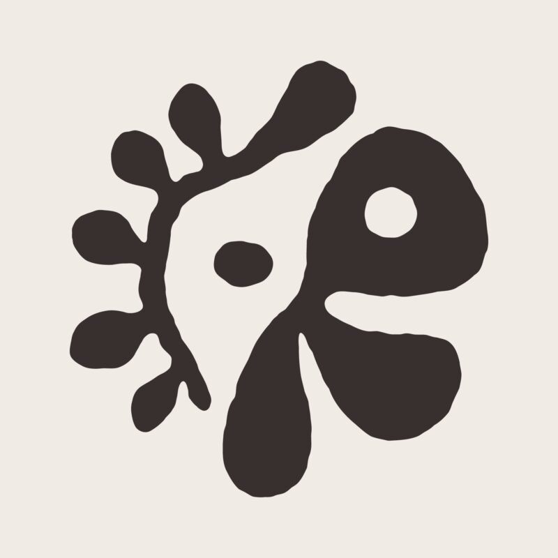 الملف الشخصي لفرقة كورتيس - CORTIS