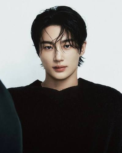 الممثل بيون وو سيوك - Byeon Woo Seok الممثل بيون وو سيوك - Byeon Woo Seok